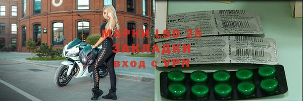 скорость Ельня