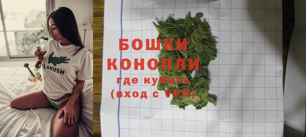 скорость Ельня