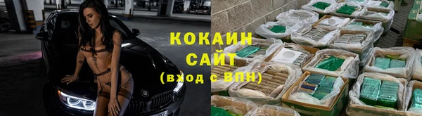 скорость Ельня