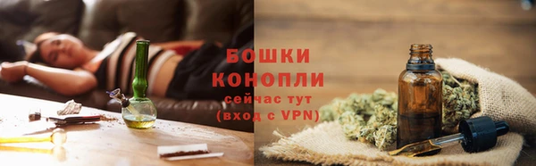 дмт Елизово