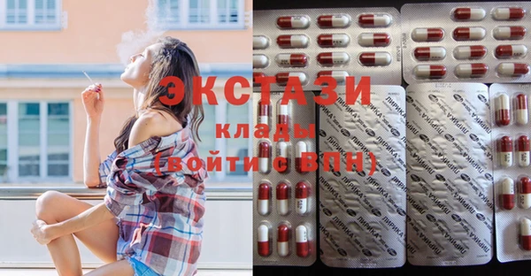 скорость Ельня