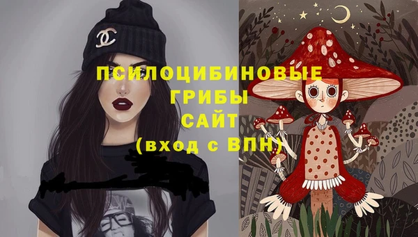 дмт Елизово