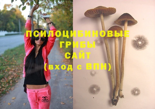 скорость Ельня