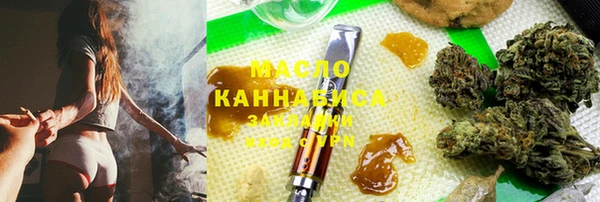 скорость Ельня