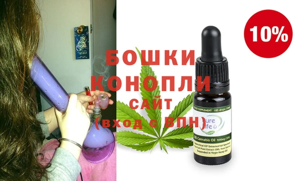 скорость Ельня