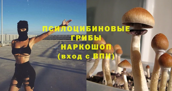 дмт Елизово