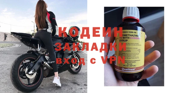 дмт Елизово