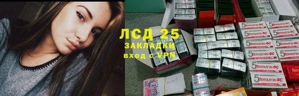 скорость Ельня