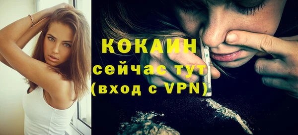 дмт Елизово